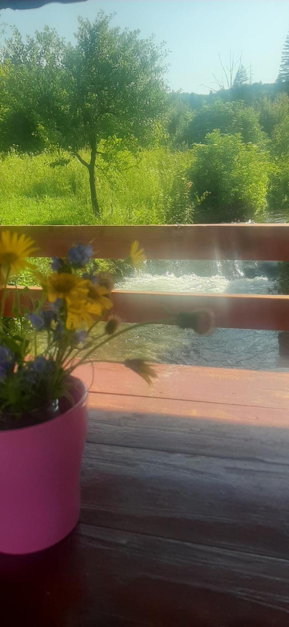 Guest House Mila Plitvicki Ljeskovac Bagian luar foto